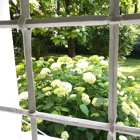 Schloss Mit Eigenem Garten Und Parkplatz * Solnohrad